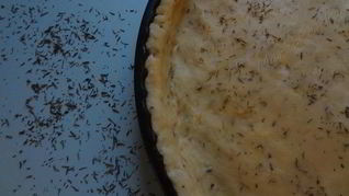 Сырное тесто с тимьяном для несладких тартов, пирогов и тарталеток