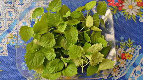 тарталетки вкусный пикник