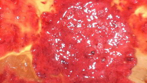 тарт с клюквенно-яблочной начинкой