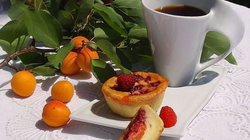 творожные заливные корзиночки с абрикосами и малиной