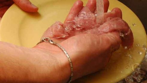 яйца бычьи жареные с гарниром