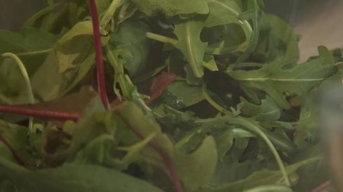 жареный камамбер