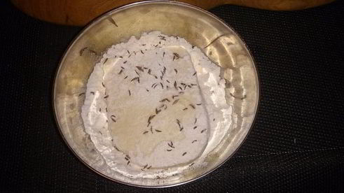 жареный сыр с соусом из брусники и табаско