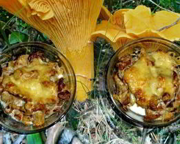 Жульен из лисичек