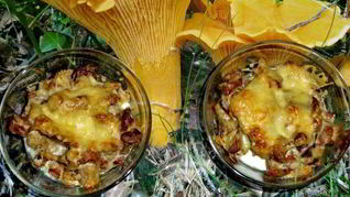 Жульен из лисичек